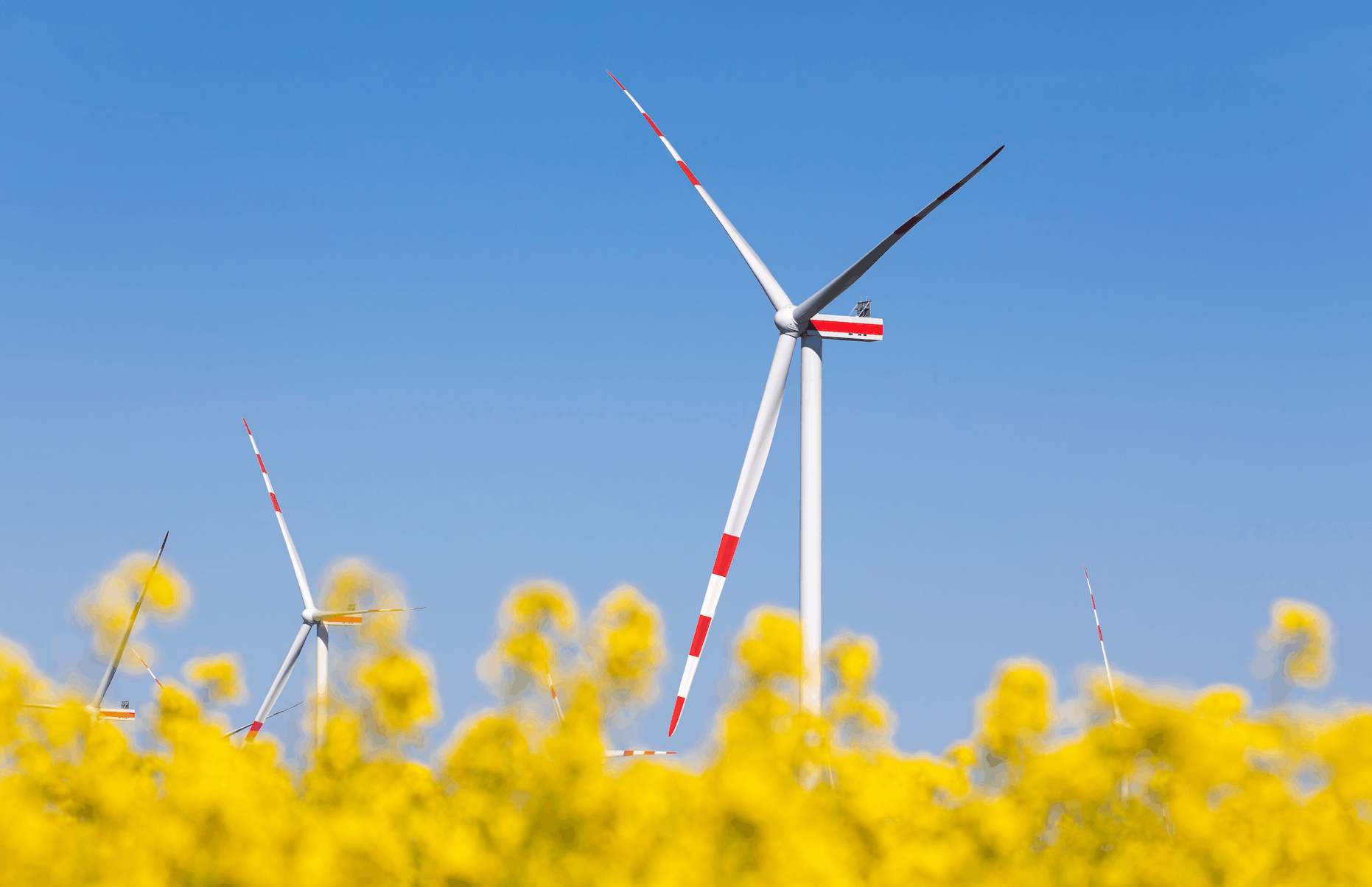 Loidesthal II, 62 Megawatt: Größter Windpark von Wien Energie und ImWind 